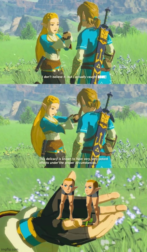CURSED LINK! |  SOME! | image tagged in the legend of zelda breath of the wild,the legend of zelda,link | made w/ Imgflip meme maker
