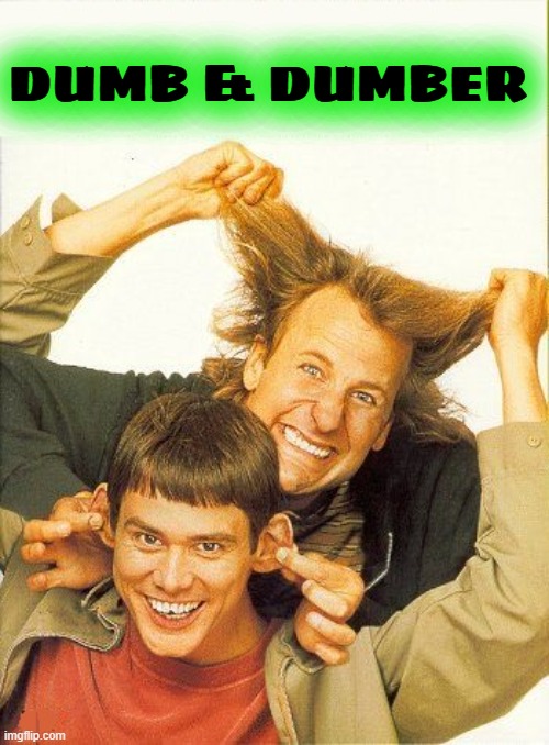 DUMB and dumber | DUMB & DUMBER | image tagged in dumb and dumber | made w/ Imgflip meme maker