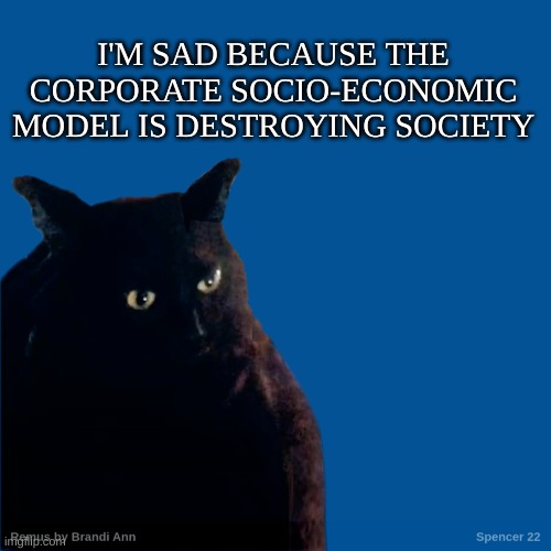 The corporate parasites destroying the world | I'M SAD BECAUSE THE CORPORATE SOCIO-ECONOMIC MODEL IS DESTROYING SOCIETY | image tagged in sad,sad cat,cats are awesome,new world order,happy birthday,corporate needs you to find the differences | made w/ Imgflip meme maker