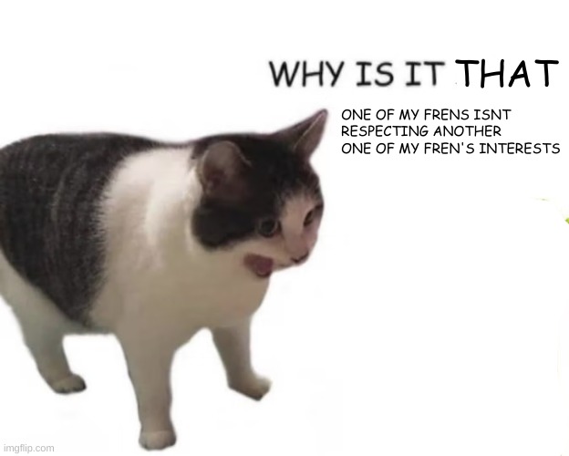 cat screaming | THAT; ONE OF MY FRENS ISNT RESPECTING ANOTHER ONE OF MY FREN'S INTERESTS | image tagged in cat screaming | made w/ Imgflip meme maker