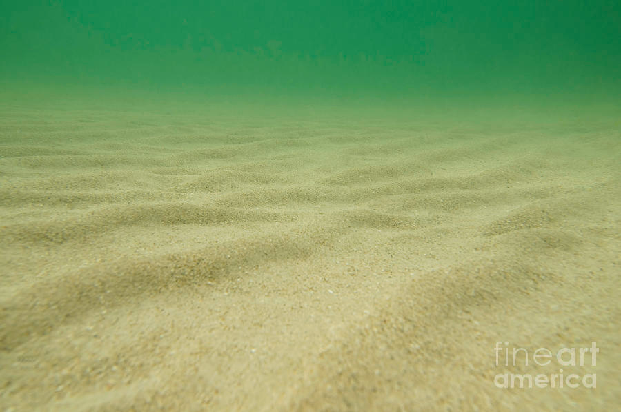 High Quality sandy seabed Blank Meme Template