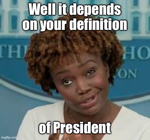 White House Press Secretary | Well it depends on your definition of President | image tagged in white house press secretary | made w/ Imgflip meme maker