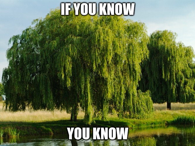 it was AWFUL, am i right? | IF YOU KNOW; YOU KNOW | made w/ Imgflip meme maker