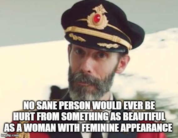 Captain Obvious | NO SANE PERSON WOULD EVER BE HURT FROM SOMETHING AS BEAUTIFUL AS A WOMAN WITH FEMININE APPEARANCE | image tagged in captain obvious,feminine,beauty,beautiful woman | made w/ Imgflip meme maker