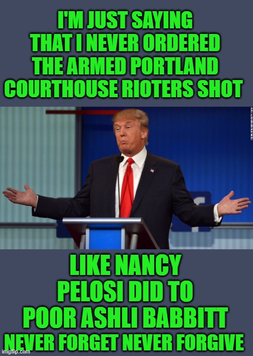 and trump is the bad guy? | I'M JUST SAYING THAT I NEVER ORDERED THE ARMED PORTLAND COURTHOUSE RIOTERS SHOT; LIKE NANCY PELOSI DID TO POOR ASHLI BABBITT; NEVER FORGET NEVER FORGIVE | image tagged in democrats | made w/ Imgflip meme maker