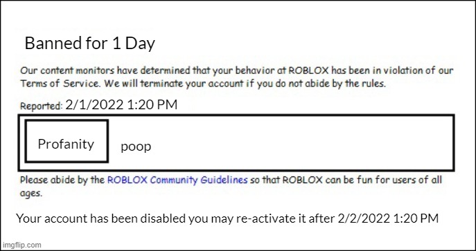 Banned from ROBLOX [2008 Interface Edition] | Banned for 1 Day; 2/1/2022 1:20 PM; poop; Profanity; Your account has been disabled you may re-activate it after 2/2/2022 1:20 PM | image tagged in banned from roblox 2008 interface edition | made w/ Imgflip meme maker