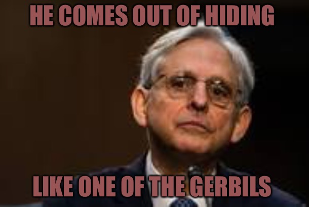 The Gerbil | HE COMES OUT OF HIDING; LIKE ONE OF THE GERBILS | image tagged in political meme,politics,bad meme,hiding,democrats,political humor | made w/ Imgflip meme maker