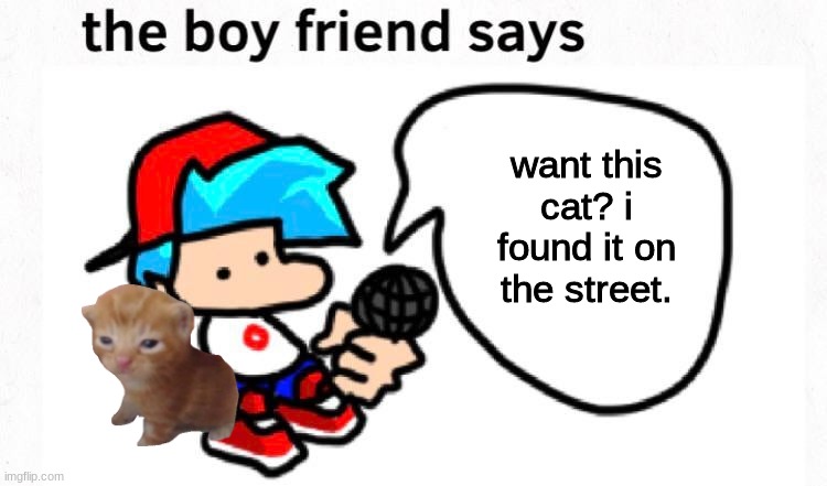 the boyfriend says | want this cat? i found it on the street. | image tagged in the boyfriend says | made w/ Imgflip meme maker
