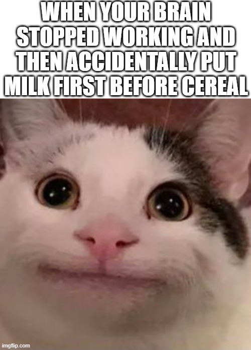 *Clapping slowly: Well done, well done |  WHEN YOUR BRAIN STOPPED WORKING AND THEN ACCIDENTALLY PUT MILK FIRST BEFORE CEREAL | image tagged in blank white template,beluga,polite cat,brain,cereal,milk | made w/ Imgflip meme maker