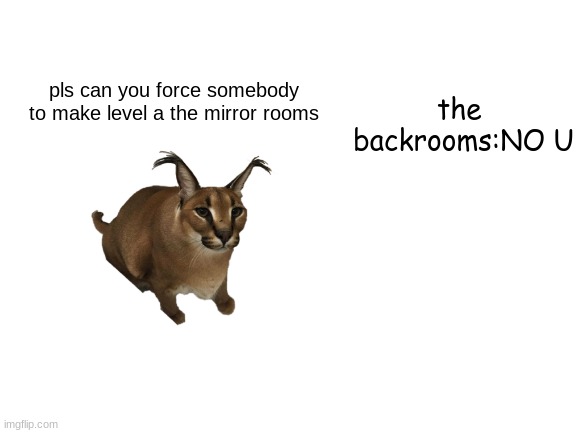somebody has to make the mirrorrooms | the  backrooms:NO U; pls can you force somebody to make level a the mirror rooms | image tagged in pls,the backrooms | made w/ Imgflip meme maker
