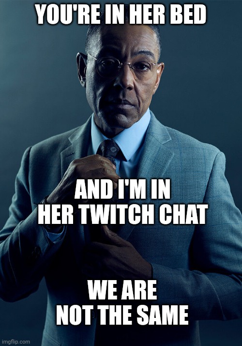 Gus Fring we are not the same | YOU'RE IN HER BED; AND I'M IN HER TWITCH CHAT; WE ARE NOT THE SAME | image tagged in gus fring we are not the same | made w/ Imgflip meme maker
