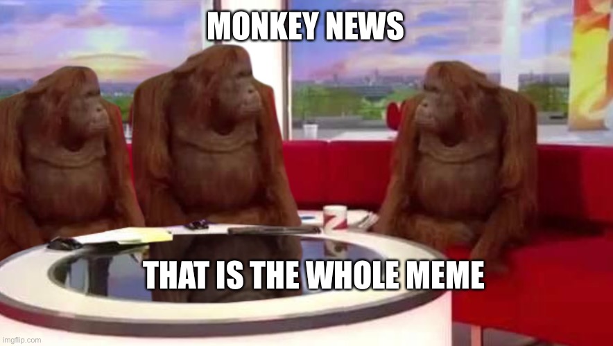 where monkey | MONKEY NEWS; THAT IS THE WHOLE MEME | image tagged in where monkey | made w/ Imgflip meme maker