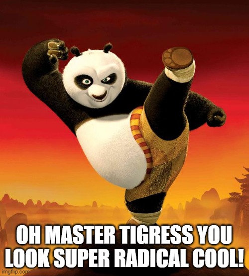 kung fu panda | OH MASTER TIGRESS YOU LOOK SUPER RADICAL COOL! | image tagged in kung fu panda | made w/ Imgflip meme maker