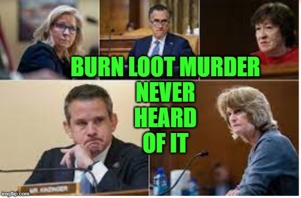 Burn Loot Murder, Never heard of it. | BURN LOOT MURDER
NEVER
 HEARD 
OF IT | image tagged in liz cheney-bush warmongers with blood on their hands | made w/ Imgflip meme maker