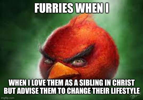 Realistic Red Angry Birds | FURRIES WHEN I WHEN I LOVE THEM AS A SIBLING IN CHRIST BUT ADVISE THEM TO CHANGE THEIR LIFESTYLE | image tagged in realistic red angry birds | made w/ Imgflip meme maker