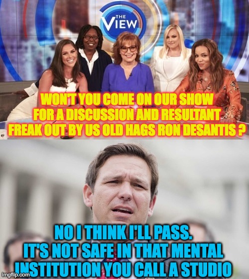 Desantis refuses to assist the mentally ill | WON'T YOU COME ON OUR SHOW FOR A DISCUSSION AND RESULTANT FREAK OUT BY US OLD HAGS RON DESANTIS ? NO I THINK I'LL PASS. IT'S NOT SAFE IN THAT MENTAL INSTITUTION YOU CALL A STUDIO | image tagged in ron desantis,the view,mentally ill old hags | made w/ Imgflip meme maker