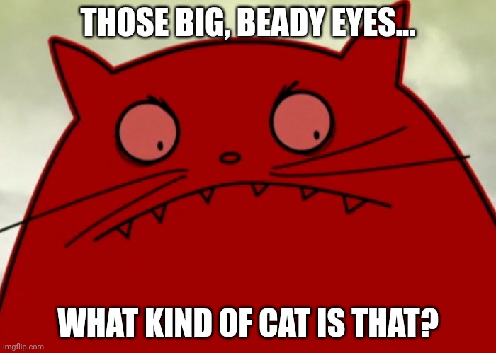 Giant Red Kitty | THOSE BIG, BEADY EYES... WHAT KIND OF CAT IS THAT? | image tagged in cats,giants,making fiends,sanity | made w/ Imgflip meme maker