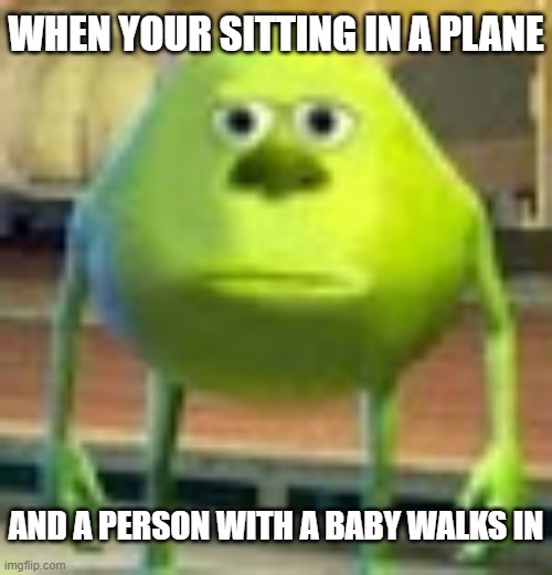 Sully Wazowski | WHEN YOUR SITTING IN A PLANE; AND A PERSON WITH A BABY WALKS IN | image tagged in sully wazowski | made w/ Imgflip meme maker