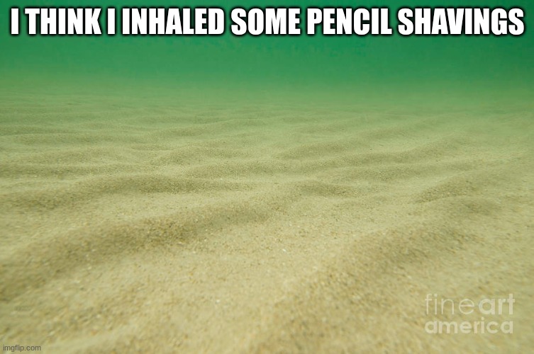 sandy seabed | I THINK I INHALED SOME PENCIL SHAVINGS | image tagged in sandy seabed | made w/ Imgflip meme maker