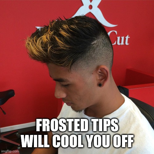 FROSTED TIPS WILL COOL YOU OFF | made w/ Imgflip meme maker