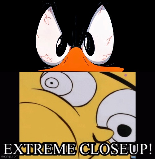 image tagged in extreme closeup,daffy duck,looney tunes,ed edd n eddy | made w/ Imgflip meme maker