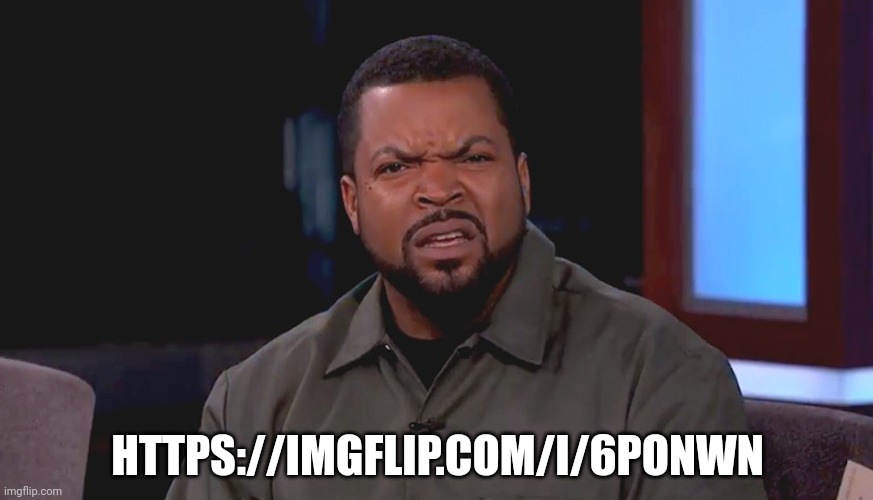 Really? Ice Cube | HTTPS://IMGFLIP.COM/I/6PONWN | image tagged in really ice cube | made w/ Imgflip meme maker