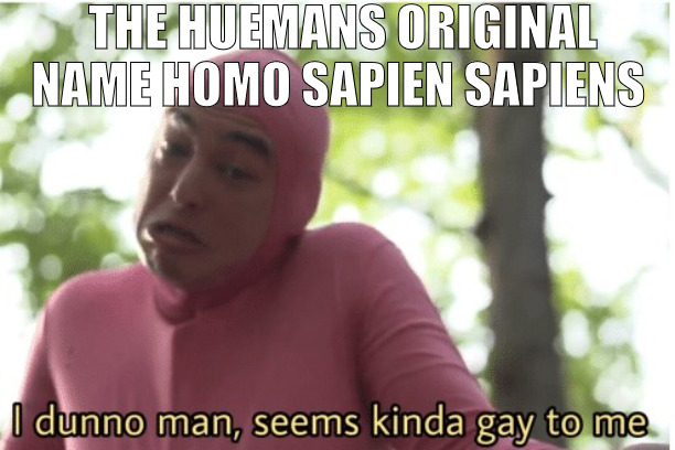 THIS IS NOT NEW THE PUBLIC JUST WONT TALK ABOUT IT! | THE HUEMANS ORIGINAL NAME HOMO SAPIEN SAPIENS | image tagged in i dunno man seems kinda gay to me,meme | made w/ Imgflip meme maker