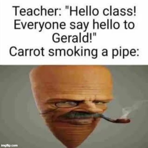 Carrot smoking a pipe | image tagged in carrot smoking a pipe | made w/ Imgflip meme maker