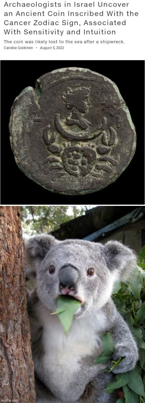 An ancient coin | image tagged in wowkoala,coin,cancer,zodiac sign,zodiac signs,memes | made w/ Imgflip meme maker