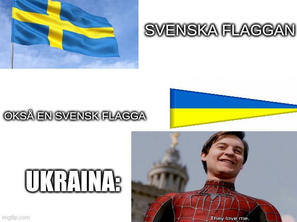 förlåt för dåligt uppsättning :/ | SVENSKA FLAGGAN; OKSÅ EN SVENSK FLAGGA; UKRAINA: | image tagged in blank white template | made w/ Imgflip meme maker