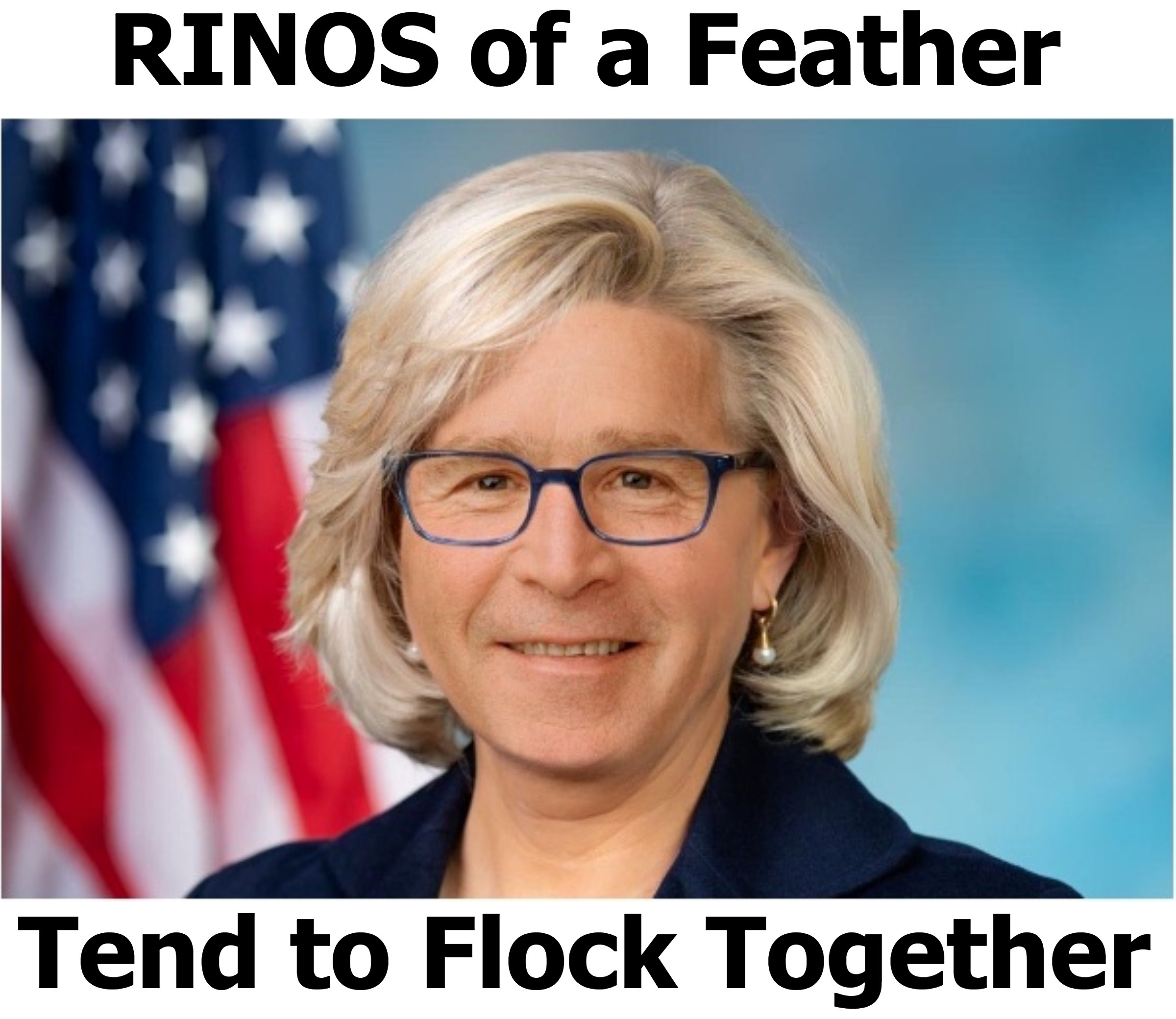 Wyoming Political Prostitute. Looks a bit like Dubya, doesn't she? | image tagged in rino,traitors,political prostitute,liz cheney,turncoat | made w/ Imgflip meme maker