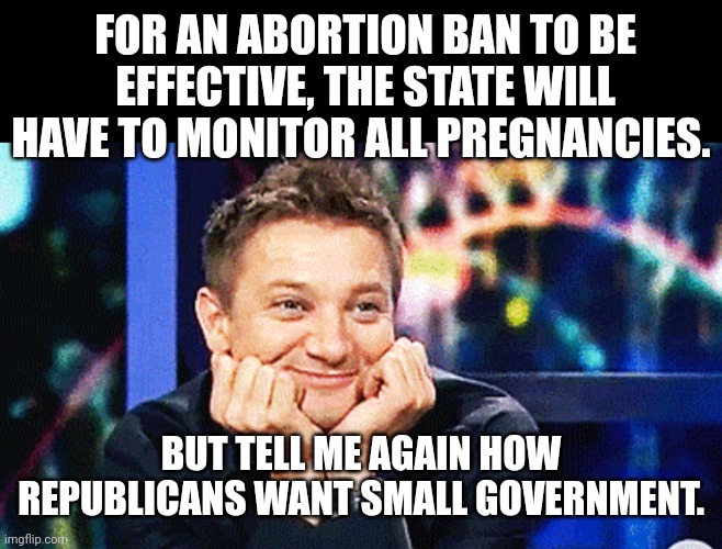 Jeremy Renner don't mind me just watchin | FOR AN ABORTION BAN TO BE EFFECTIVE, THE STATE WILL HAVE TO MONITOR ALL PREGNANCIES. BUT TELL ME AGAIN HOW REPUBLICANS WANT SMALL GOVERNMENT. | image tagged in jeremy renner don't mind me just watchin | made w/ Imgflip meme maker