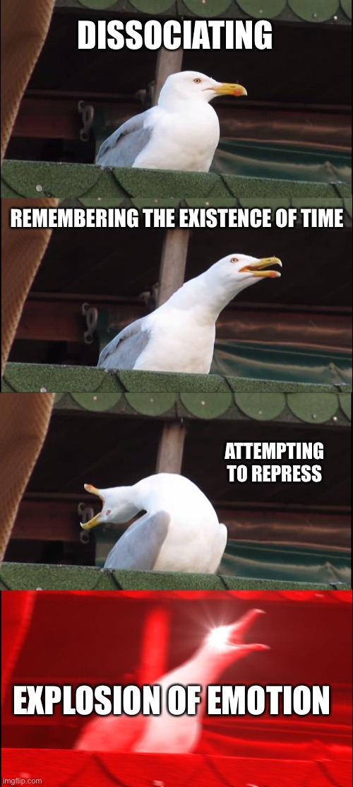 Daily routine | DISSOCIATING; REMEMBERING THE EXISTENCE OF TIME; ATTEMPTING TO REPRESS; EXPLOSION OF EMOTION | image tagged in memes,inhaling seagull,dissociation,bpd | made w/ Imgflip meme maker