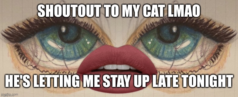 ??? | SHOUTOUT TO MY CAT LMAO; HE'S LETTING ME STAY UP LATE TONIGHT | made w/ Imgflip meme maker
