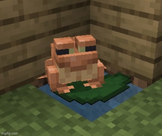 n o r m a n. | image tagged in n o r m a n | made w/ Imgflip meme maker