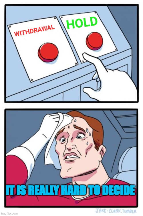 Hold or withdrawal |  HOLD; WITHDRAWAL; IT IS REALLY HARD TO DECIDE | image tagged in cryptocurrency,hive,hold up,memes,funny,fun | made w/ Imgflip meme maker