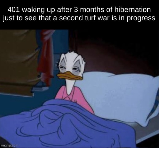 little hc of mine also gn | 401 waking up after 3 months of hibernation just to see that a second turf war is in progress | image tagged in drm oc | made w/ Imgflip meme maker