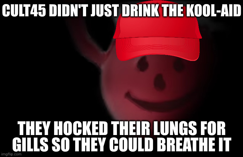 And they haven't come up for air since |  CULT45 DIDN'T JUST DRINK THE KOOL-AID; THEY HOCKED THEIR LUNGS FOR GILLS SO THEY COULD BREATHE IT | image tagged in kool-aid man is in a position to hurt you | made w/ Imgflip meme maker