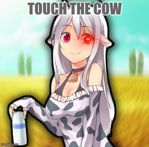 Evil cow | TOUCH THE COW | image tagged in evil,cow,cow chan,anime girl,moo,free milk | made w/ Imgflip meme maker