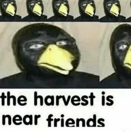 High Quality The harvest is near friends Blank Meme Template