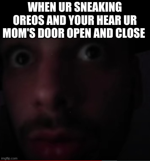 Ever been one you? My elder brother knows a thing or two bout that | WHEN UR SNEAKING OREOS AND YOUR HEAR UR MOM'S DOOR OPEN AND CLOSE | image tagged in freaked out chandler | made w/ Imgflip meme maker