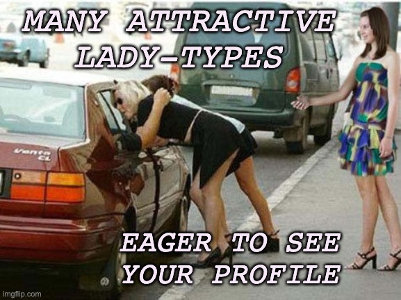 Russian Hookers | MANY ATTRACTIVE LADY-TYPES EAGER TO SEE
YOUR PROFILE | image tagged in russian hookers | made w/ Imgflip meme maker