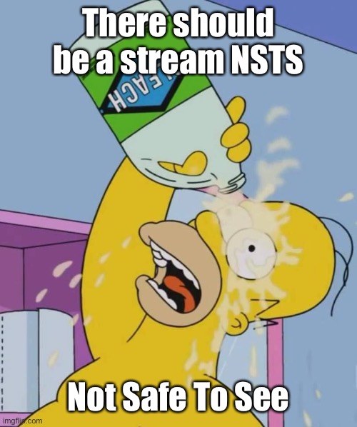 Homer with bleach | There should be a stream NSTS Not Safe To See | image tagged in homer with bleach | made w/ Imgflip meme maker
