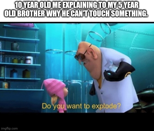 Do you want to explode |  10 YEAR OLD ME EXPLAINING TO MY 5 YEAR OLD BROTHER WHY HE CAN'T TOUCH SOMETHING. | image tagged in do you want to explode | made w/ Imgflip meme maker