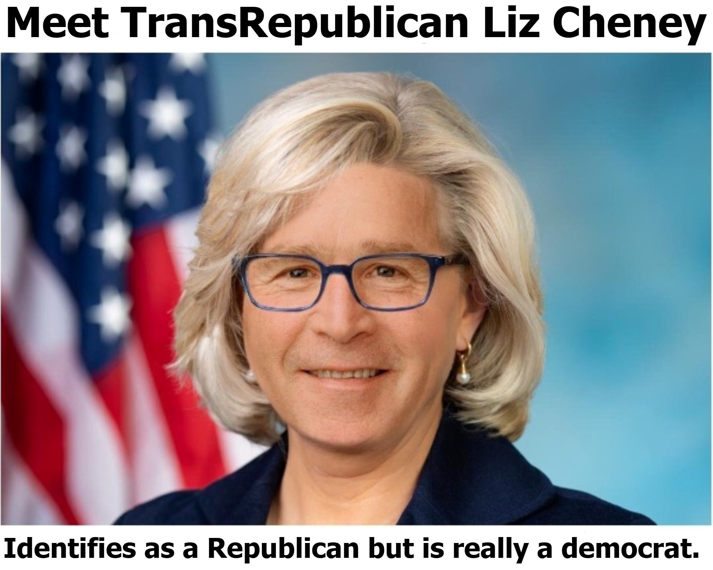 Meet TransRepublican Liz Cheney | image tagged in lizard lips,liz cheney,transrepublican,rino,all in the family,bush clinton crime families | made w/ Imgflip meme maker