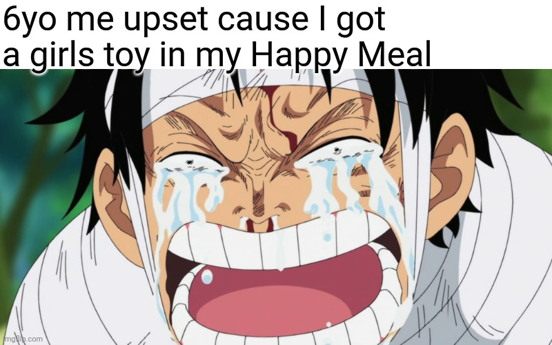 It was really upsetting | 6yo me upset cause I got a girls toy in my Happy Meal | image tagged in anime meme | made w/ Imgflip meme maker