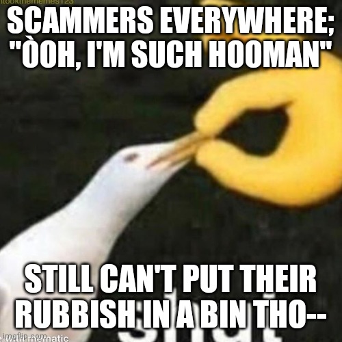 Shut Gull | SCAMMERS EVERYWHERE; "ÒOH, I'M SUCH HOOMAN"; STILL CAN'T PUT THEIR RUBBISH IN A BIN THO-- | image tagged in shut gull | made w/ Imgflip meme maker