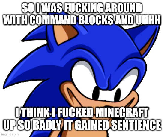 Sonic Stare | SO I WAS FUCKING AROUND WITH COMMAND BLOCKS AND UHHH; I THINK I FUCKED MINECRAFT UP SO BADLY IT GAINED SENTIENCE | image tagged in sonic stare | made w/ Imgflip meme maker