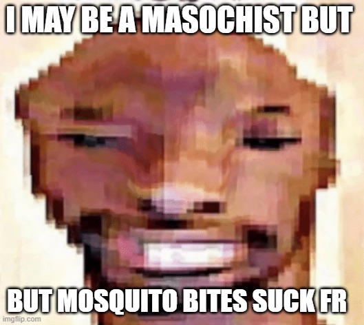 The Shittiest of Shitposts | I MAY BE A MASOCHIST BUT; BUT MOSQUITO BITES SUCK FR | image tagged in the shittiest of shitposts | made w/ Imgflip meme maker