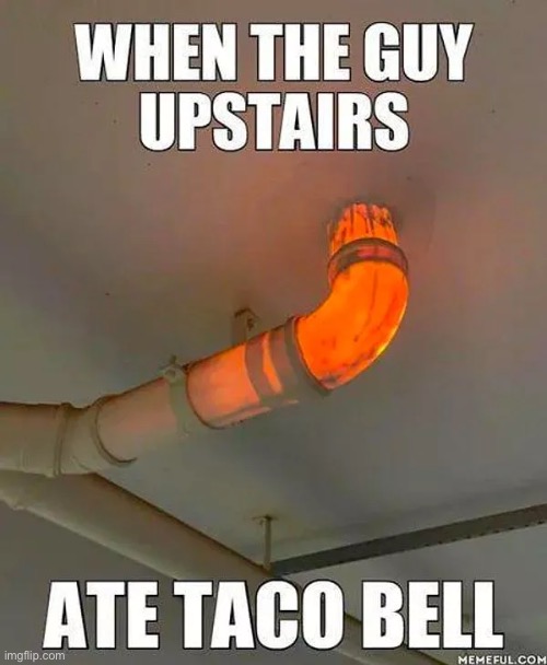 taco bell | image tagged in taco bell | made w/ Imgflip meme maker